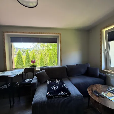 Apartamenty, Bialy Dunajec, Jacuzzi , Sauna, Darmowy Parking, Kominki W Apartamentach, Widok Na Gory